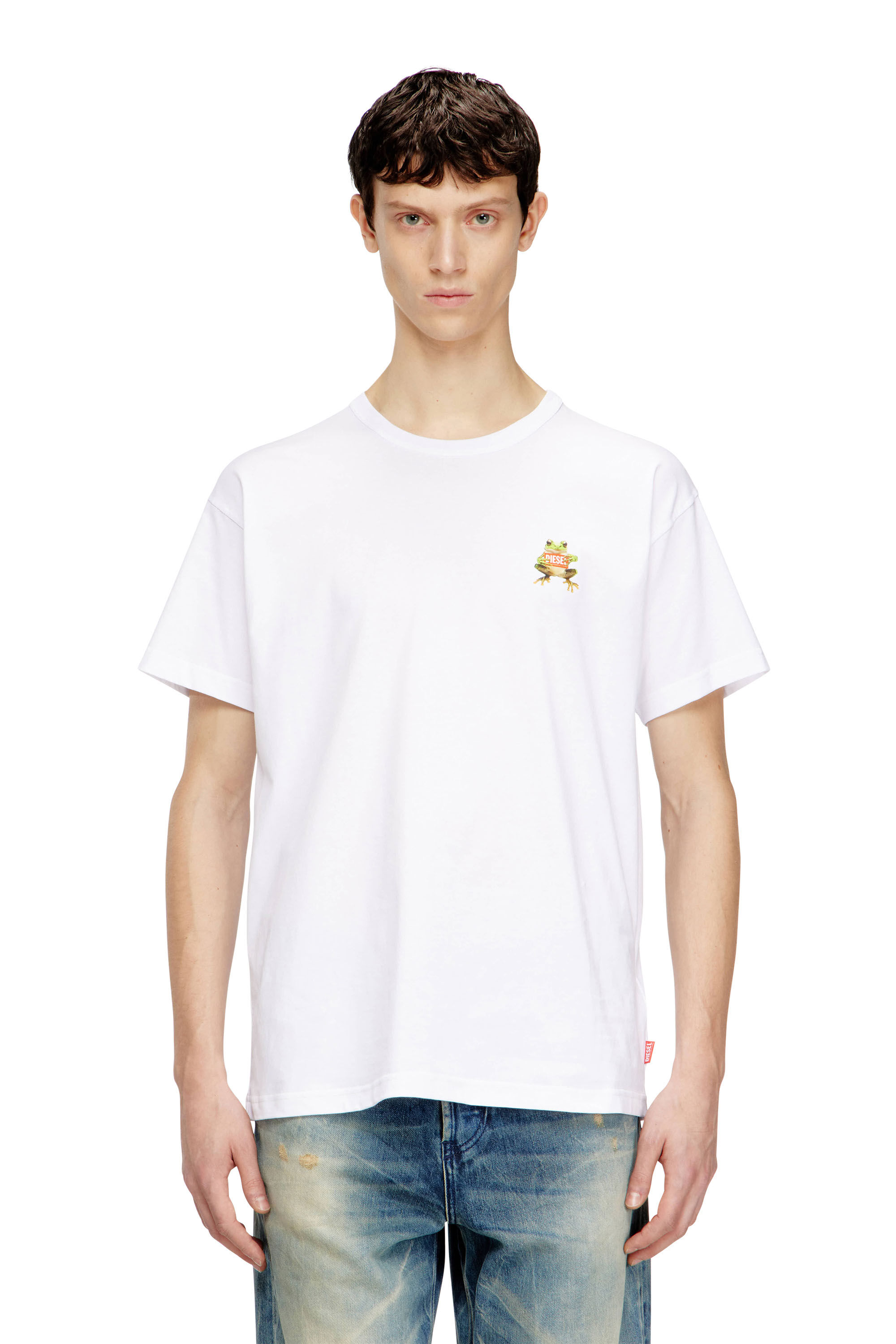 Diesel - T-NORM-FROG, Man's T-shirt with frog and logo print in null - 3
