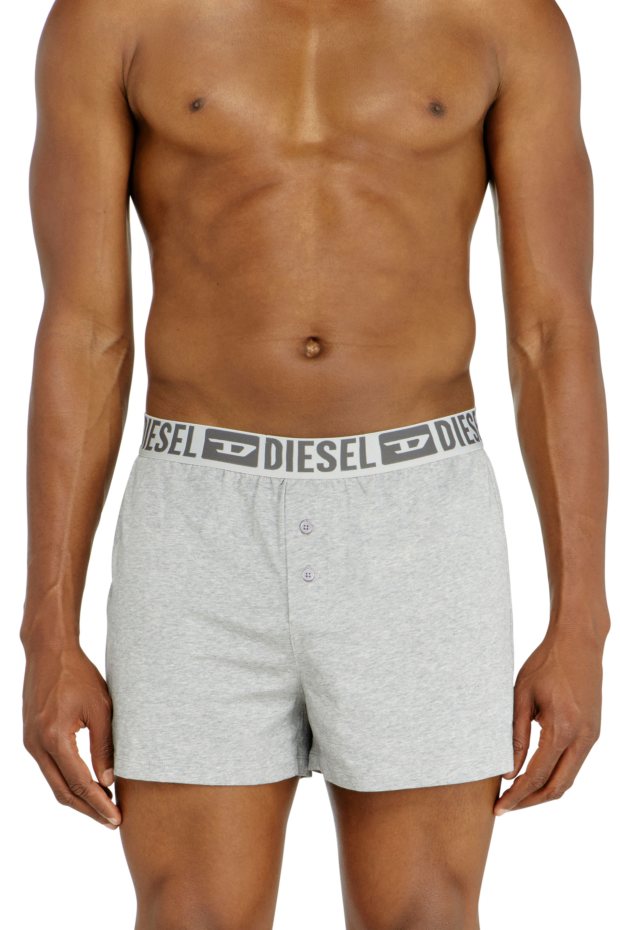 Diesel - STARKIE-D-CORE-2PACK, Man's Two-pack boxer shorts in stretch cotton in Grey - 2